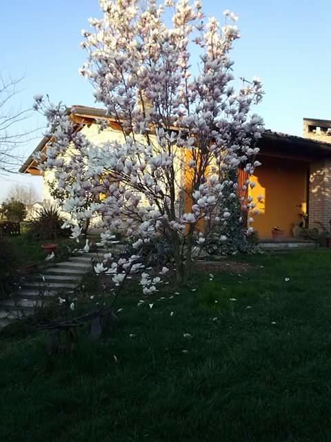 Bed&Breakfast Bellavista Castiglione Delle Stiviere Esterno foto